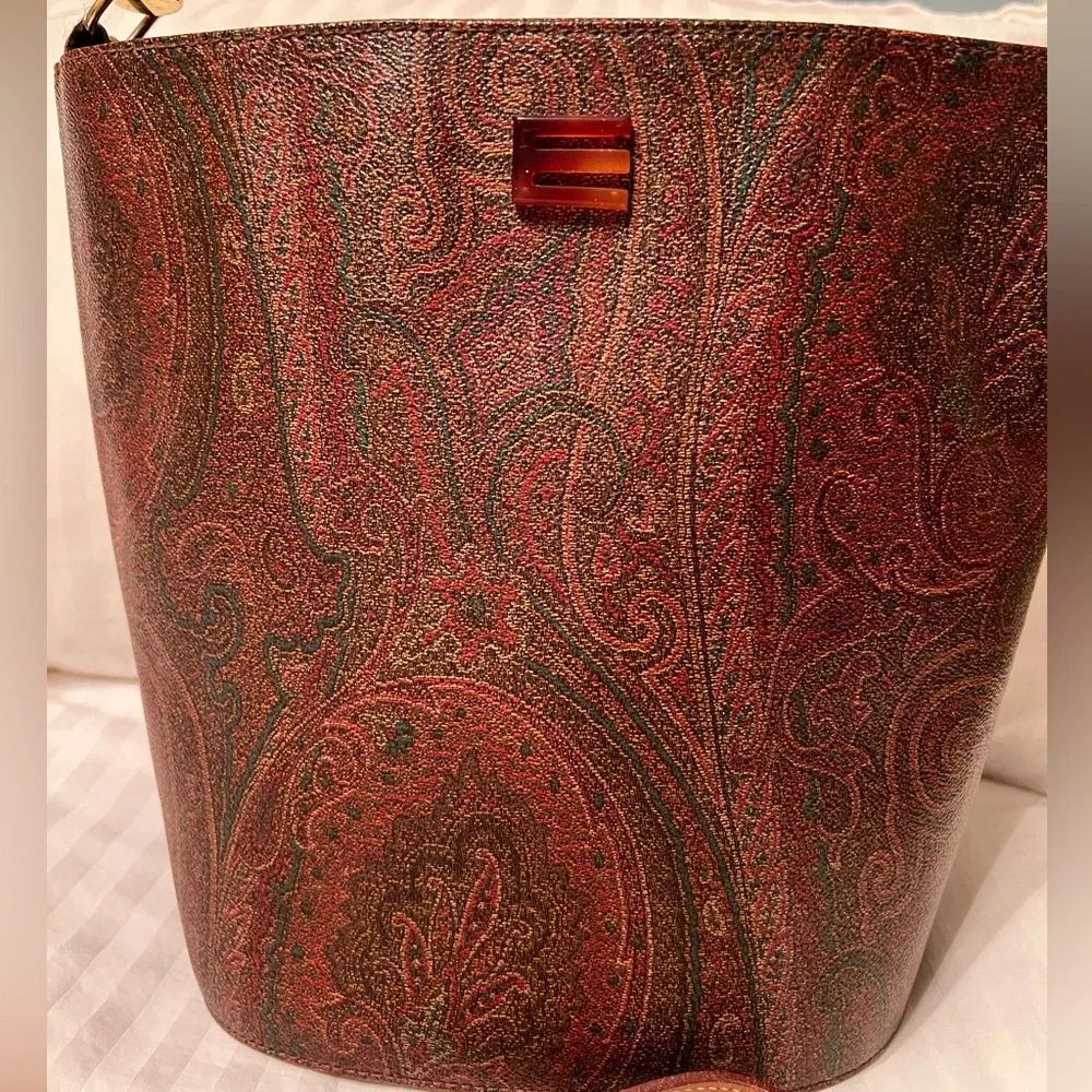 ETRO BAG very rare. Tortoise shell lucite handle, outside pristine w/no scuffs. - Picture 3 of 14